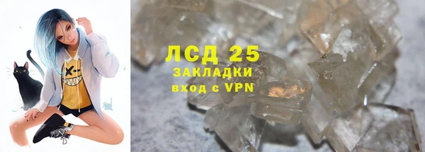 PSILOCYBIN Алзамай