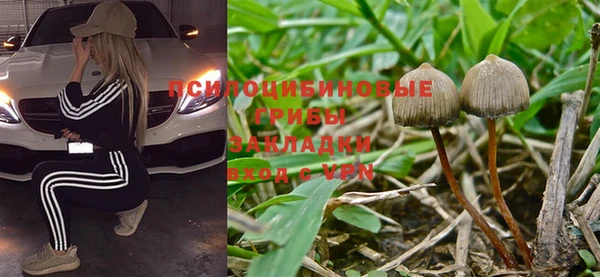 бутират Алексин