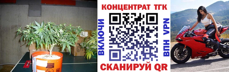 ТГК вейп с тгк  hydra зеркало  Покров  где продают наркотики 
