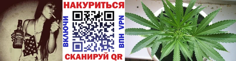 OMG как войти  Покров  Марихуана семена 